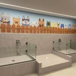 Imagem 17 do imóvel